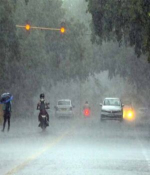 barish_up-5.jpg