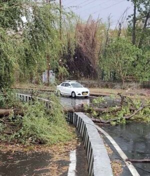 rain_67_2-1.jpg