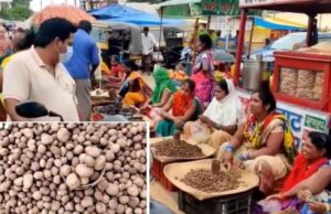 छत्तीसगढ़ में रोड किनारे बिक रहा सबसे महंगी सब्जियों में शुमार बोड़ा