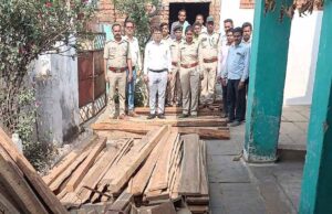 वन विभाग ने दबिश देकर एक बाड़ी से 67 नग अवैध सागौन व बीजा की चिरान लकड़ी जब्त