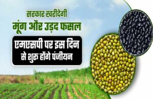 प्रदेश में वर्ष 2024 में आए 13 करोड़ 41 लाख पर्यटक, पर्यटन में हुई 19.6 प्रतिशत की बढ़ोत्तरी