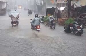 एमपी के 5 जिलों में हैवी रेन का अलर्ट, 7 डिग्री गिरा पारा, धान की फसल को मिली राहत