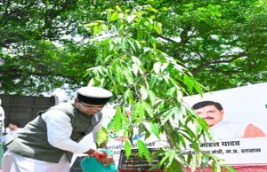मंत्री सारंग ने कहा सहकारिता विभाग पूरी प्लानिंग के साथ हर सोसायटी और विभागीय परिसरों में पौधरोपण करें