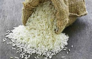 ईरान और इजरायल के बीच चल रहे युद्ध का असर भारत के चावल निर्यातकों पर पड़ा, एक्सपोर्ट रुका