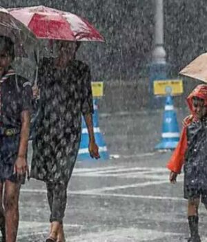 rain_A_53_6.jpg