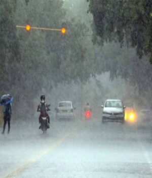 barish_up.jpg