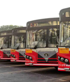 bus_81_1.jpg