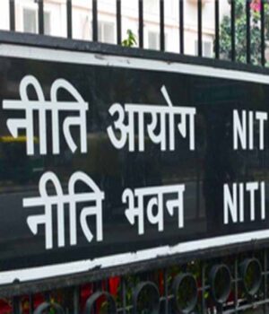 niti.jpg