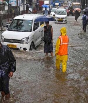 barish-12.jpg