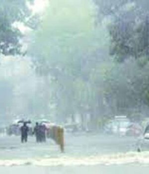 barish01.jpg