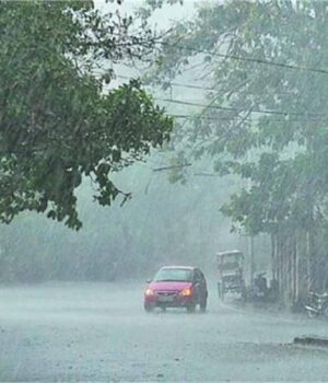 barish1-11.jpg