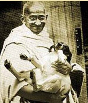 gandhi_ji.jpg