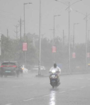 barish-14.jpg