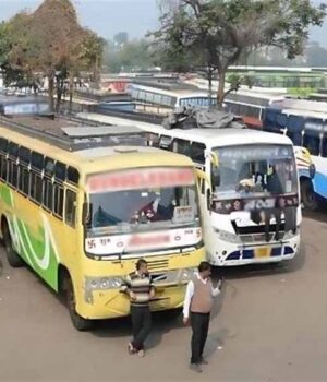bus-4.jpg