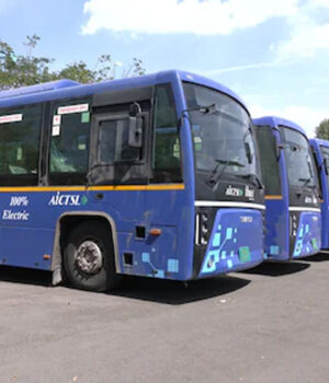 bus_81_2.jpg