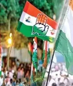 cong-1.jpg