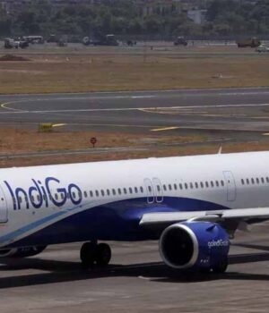 indigo.jpg