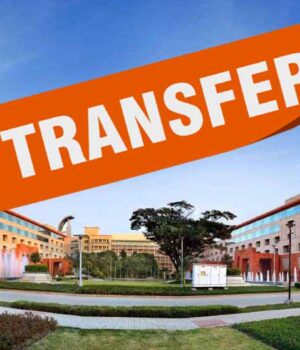transfers_64_1-1.jpg