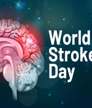 28A_203.jpg