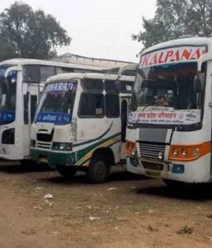 bus_6A_41_4.jpg