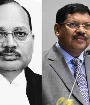 cji-3.jpg