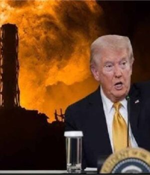 donald-13.jpg