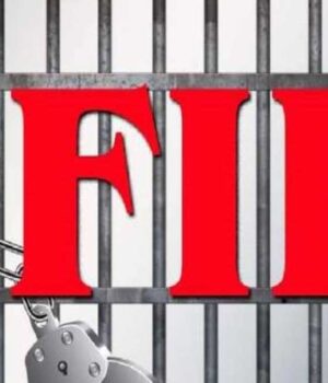 fir_A_18_3.jpg