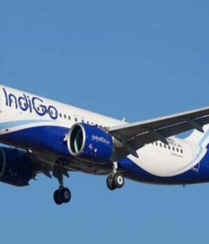 indigo154-2.jpg