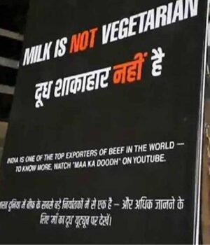 milk1.jpg