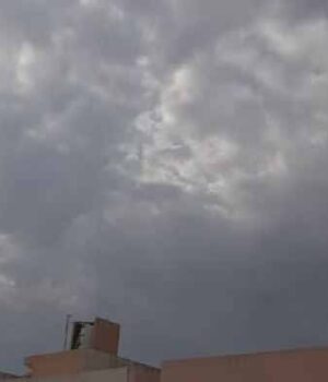 mosam-5.jpg