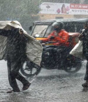 rain_5_A_39_3.jpg