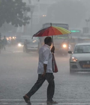 rain_A_24_1-1.jpg