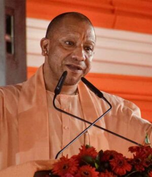 yogi-20.jpg