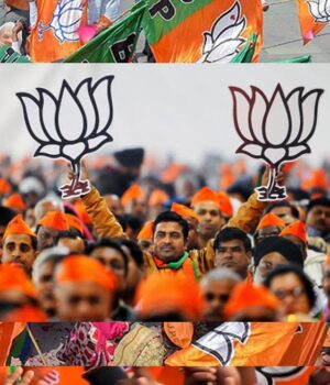 bjp_A_79_3-2.jpg