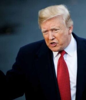 donald-4.jpg