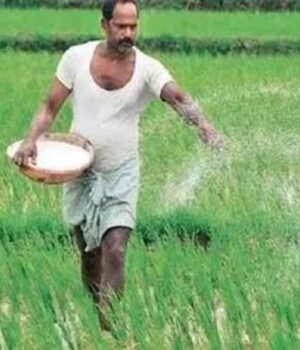 kisan-4.jpg