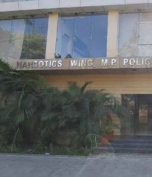 mp_po.jpg