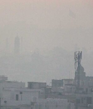 winter_80_3-1.jpg