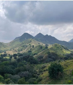 24_A_58.jpg