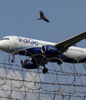 IndiGo_IndiGo_93_1-1.jpg