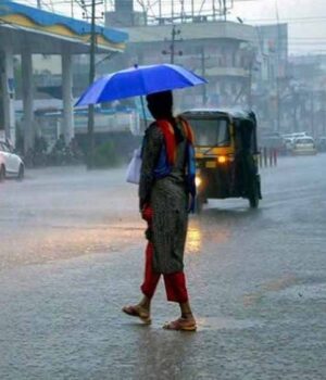 barish-1.jpg