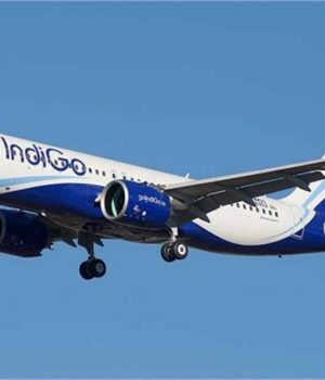 indigo.jpg