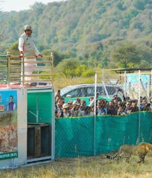 mohan-3.jpg