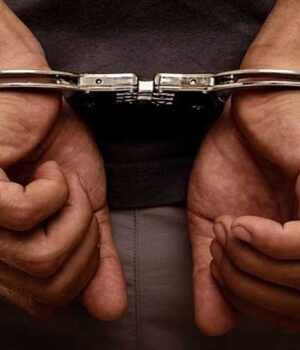 arresteda_132_1.jpg