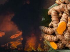 ईरान जंग के कारण हल्दी के दाम ₹3,500 प्रति क्विंटल घटे, किसान चिंतित