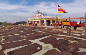 मां बिरासिनी धाम बिलासपुर में चैत्र नवरात्रि के नवमी के दिन श्रद्धा का उमड़ा सैलाब