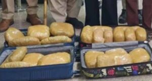 NCB की बड़ी कार्रवाई: वंदे भारत एक्सप्रेस में 24 किलो गांजा, दो युवतियां हिरासत में