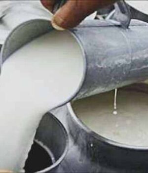 Dudh_01.jpg