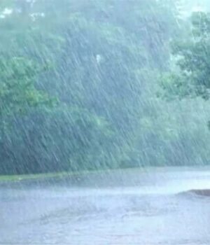 barish1-1.jpg