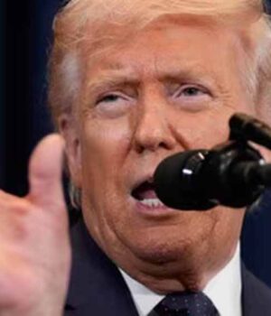 donald3.jpg
